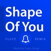 Shape Of You Download Ringtone