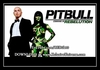 Pitbull - Both Die Right Now Downnload Ringtone