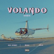 Volando Download