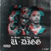 U-Digg Download