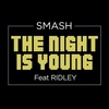 DJ Smash Feat. Ridley - The Night Is Young Downnload Ringtone