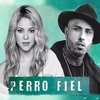 Shakira - Perro Fiel Downnload Ringtone