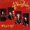 4 Non Blondes - What's Up Downnload Ringtone