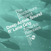 Deep Active Sound Feat Lena Grig - Got U (Original Mix) Downnload Ringtone