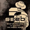 Seeb Feat. Jacob Banks - What Do You Love (Original Mix) Downnload Ringtone