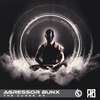 Agressor Bunx - The Spirit (Original Mix) Downnload Ringtone