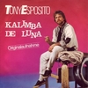 Kalimba De Luna Download Ringtone