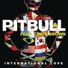 Chris Brown Feat. Pitbull - International Love Downnload Ringtone