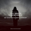 Toly Braun - What You Want (Original Mix) Downnload Ringtone