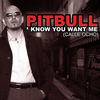 Pitbull - I Know You Want Me 2009 Downnload Ringtone