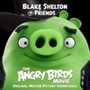 Blake Shelton - Friends Downnload Ringtone