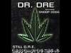 Dr. Dre - Still (Remix 2011) (BassBoosted ) Downnload Ringtone