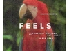 Calvin Harris - Feels Downnload Ringtone