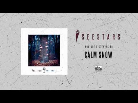 Calm Snow Download free