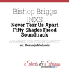 Bishop Briggs - Never Tear Us Apart Downnload Ringtone