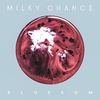 Milky Chance - Blossom Downnload Ringtone