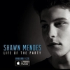 Shawn Mendes - When You're Ready Downnload Ringtone