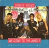 Guns N' Roses - Welcome To The Jungle Downnload Ringtone