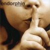 Endorphin - Soon After Silence Downnload Ringtone