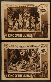 King Of The Jungle Download free