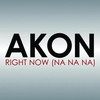 Akon - Right Now Downnload Ringtone