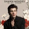 Shawn Mendes - In My Blood Downnload Ringtone