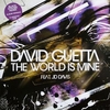 David Guetta - The World Is Mine Downnload Ringtone