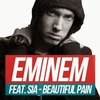 Eminem - Beautiful Pain Downnload Ringtone