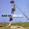 VA 'Black Cat White Cat' - Tree Stump Downnload Ringtone