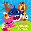 PINKFONG - Baby Shark Downnload Ringtone