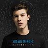 Shawn Mendes - Aftertaste Downnload Ringtone