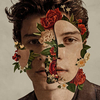 Shawn Mendes - If I Can't Have You Downnload Ringtone