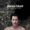 James Blunt - Cold Downnload Ringtone