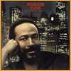 Marvin Gaye - Sexual Healing Downnload Ringtone