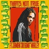 Skip Marley Feat. Damian 'Jr. Gong' Marley - That's Not True Downnload Ringtone