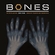 Bones Theme Download