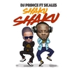 DJ Prince & Skales - Shaku Shaku Downnload Ringtone