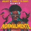 Wildey & Yomil Y El Dany - Normalmente (Remix) Downnload Ringtone