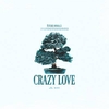 Future Animals - Crazy Love Downnload Ringtone