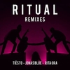 Tiësto & Jonas Blue & Rita Ora - Ritual (Jonas Aden Remix) Downnload Ringtone