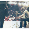 The Cardigans - Lovefool Downnload Ringtone