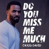 Craig David - Do You Miss Me Much Downnload Ringtone