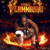 Flammable Download Ringtone