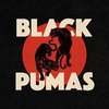 Black Pumas - Colors Downnload Ringtone