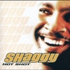 Shaggy - Keep'n It Real Downnload Ringtone