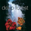 Deep Forest - Marta's Song Downnload Ringtone