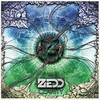 Zedd - Clarity Downnload Ringtone